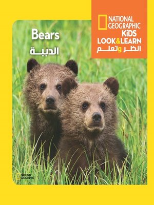 cover image of الدببة - سلسلة انظر وتعلم من ناشيونال جيوجرافيك